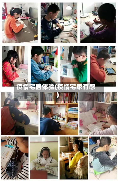 疫情宅居体验(疫情宅家有感)-第1张图片