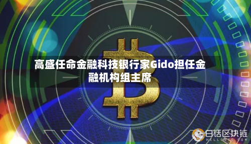 高盛任命金融科技银行家Gido担任金融机构组主席-第1张图片