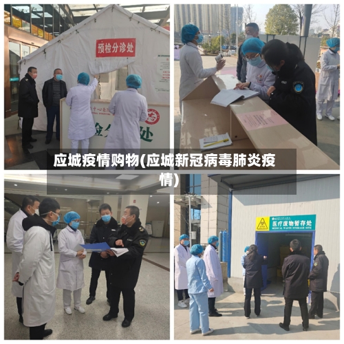 应城疫情购物(应城新冠病毒肺炎疫情)-第1张图片