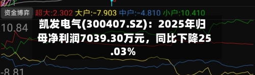 凯发电气(300407.SZ)：2025年归母净利润7039.30万元，同比下降25.03%-第1张图片