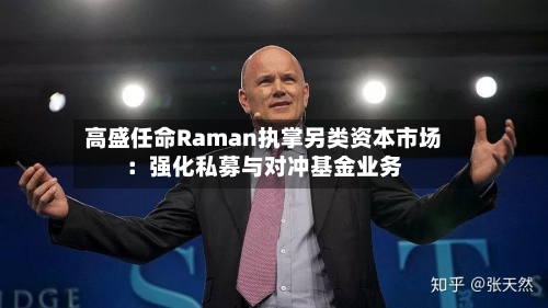 高盛任命Raman执掌另类资本市场:强化私募与对冲基金业务-第2张图片