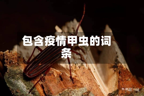 包含疫情甲虫的词条-第1张图片
