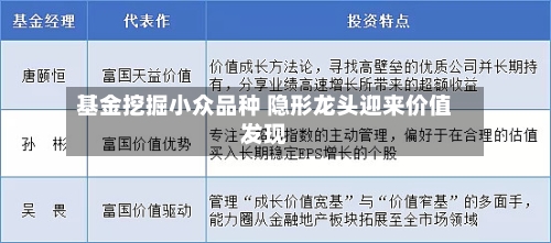 基金挖掘小众品种 隐形龙头迎来价值发现-第1张图片