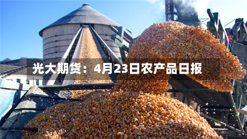 光大期货:4月23日农产品日报-第1张图片