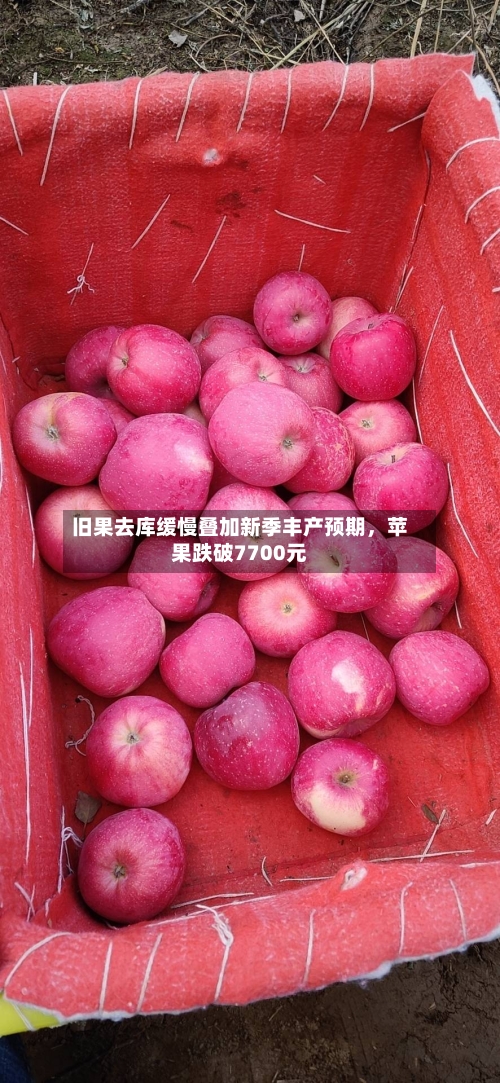 旧果去库缓慢叠加新季丰产预期	，苹果跌破7700元-第1张图片