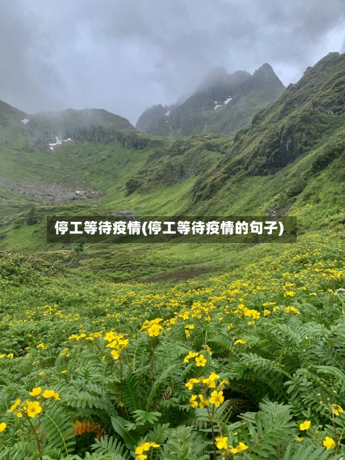 停工等待疫情(停工等待疫情的句子)-第1张图片
