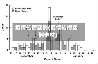 疫情传播实例(疫情传播实例素材)-第1张图片