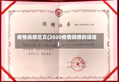 疫情捐赠范文(2020疫情捐赠的话语)-第1张图片
