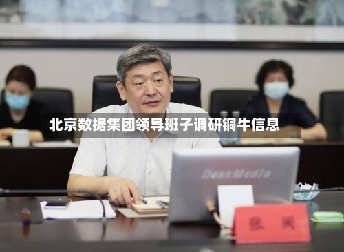北京数据集团领导班子调研铜牛信息-第1张图片