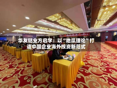 华友钴业方启学：以“地瓜理论”打造中国企业海外投资新范式-第1张图片