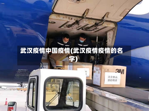 武汉疫情中国疫情(武汉疫情疫情的名字)-第1张图片