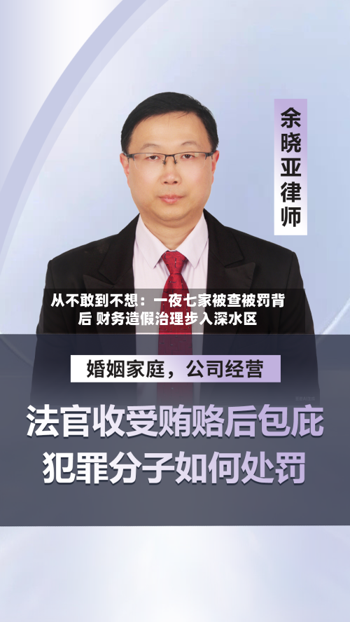 从不敢到不想:一夜七家被查被罚背后 财务造假治理步入深水区-第3张图片