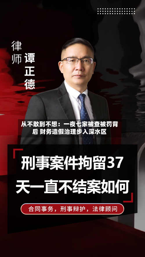 从不敢到不想:一夜七家被查被罚背后 财务造假治理步入深水区-第2张图片