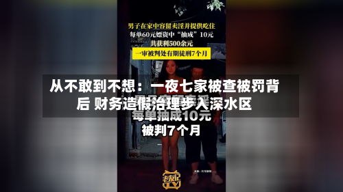 从不敢到不想:一夜七家被查被罚背后 财务造假治理步入深水区-第1张图片