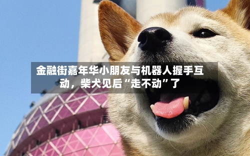 金融街嘉年华小朋友与机器人握手互动	，柴犬见后“走不动”了-第3张图片