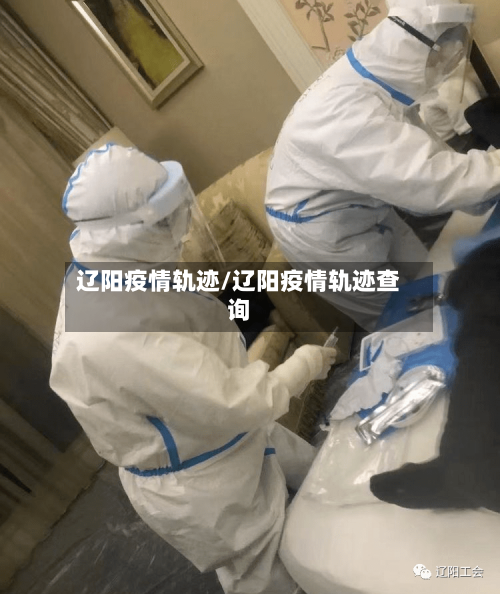辽阳疫情轨迹/辽阳疫情轨迹查询-第1张图片