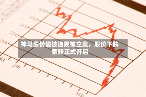 神马股份信披违规被立案，股价下跌索赔正式开启-第3张图片