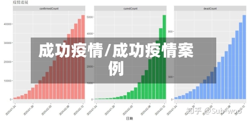 成功疫情/成功疫情案例-第1张图片