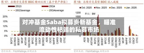 对冲基金Saba拟募资新基金，瞄准流动性枯竭的私募市场-第2张图片