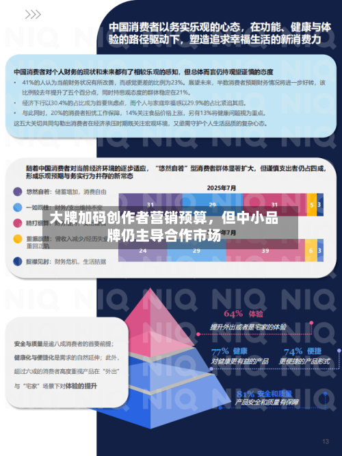 大牌加码创作者营销预算	，但中小品牌仍主导合作市场-第1张图片