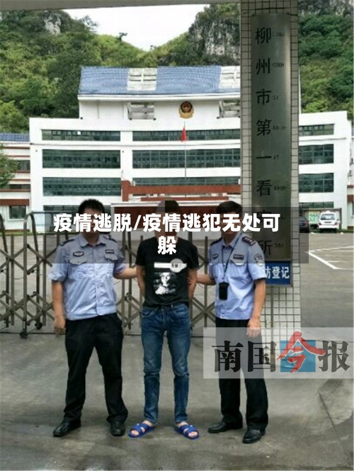 疫情逃脱/疫情逃犯无处可躲-第1张图片
