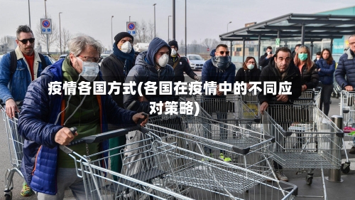 疫情各国方式(各国在疫情中的不同应对策略)-第1张图片