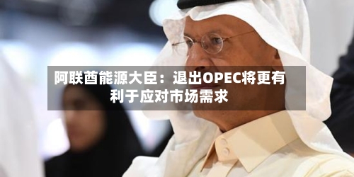 阿联酋能源大臣：退出OPEC将更有利于应对市场需求-第1张图片