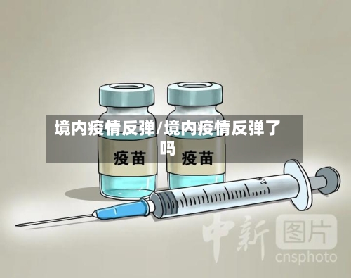 境内疫情反弹/境内疫情反弹了吗-第1张图片