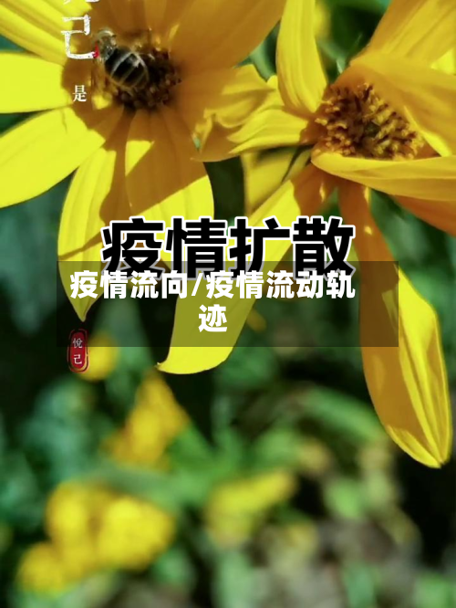疫情流向/疫情流动轨迹-第2张图片