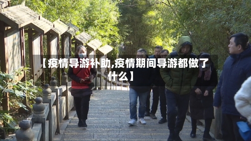 【疫情导游补助,疫情期间导游都做了什么】-第1张图片