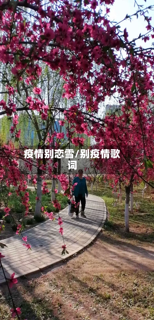 疫情别恋雪/别疫情歌词-第1张图片