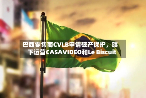 巴西零售商CVLB申请破产保护	，旗下运营CASAVIDEO和Le Biscuit-第2张图片
