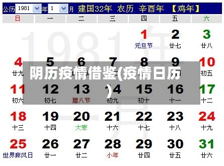 阴历疫情借鉴(疫情日历)-第1张图片