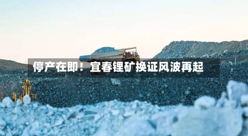 停产在即!宜春锂矿换证风波再起-第2张图片