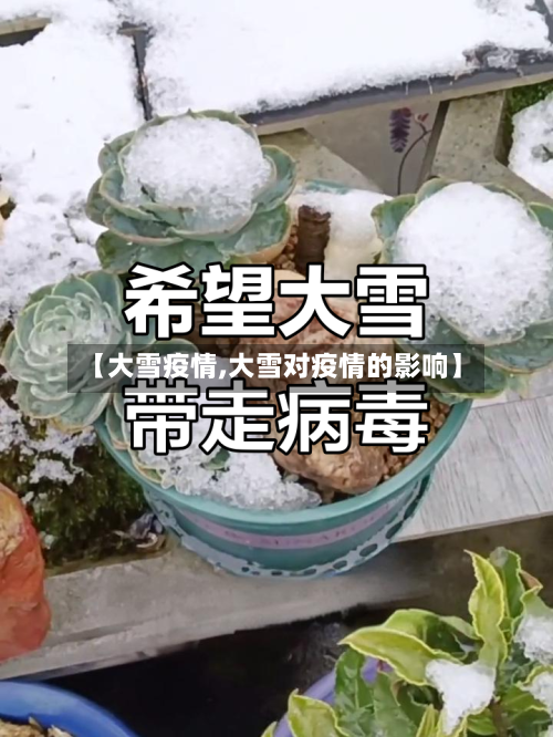 【大雪疫情,大雪对疫情的影响】-第1张图片