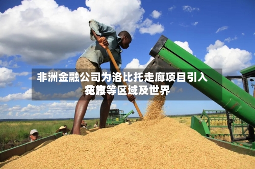非洲金融公司为洛比托走廊项目引入花旗等区域及世界
贷方-第2张图片