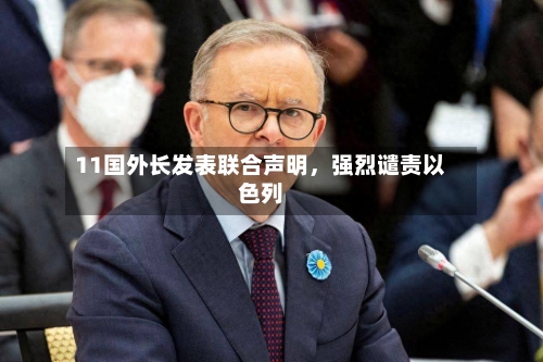 11国外长发表联合声明，强烈谴责以色列-第1张图片