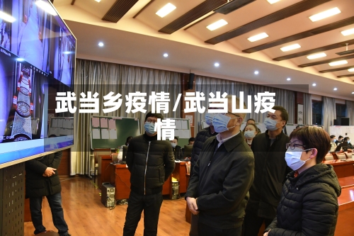 武当乡疫情/武当山疫情-第1张图片