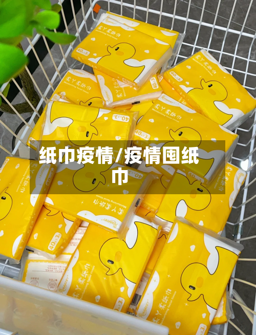 纸巾疫情/疫情囤纸巾-第2张图片