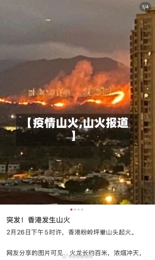 【疫情山火,山火报道】-第1张图片