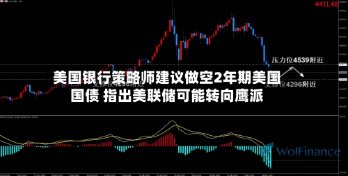 美国银行策略师建议做空2年期美国国债 指出美联储可能转向鹰派-第3张图片