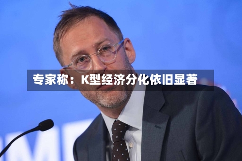 专家称:K型经济分化依旧显著-第1张图片
