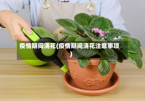 疫情期间浇花(疫情期间浇花注意事项)-第2张图片