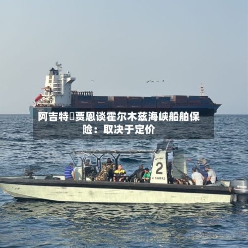 阿吉特・贾恩谈霍尔木兹海峡船舶保险：取决于定价-第1张图片