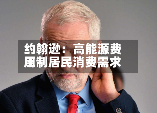 约翰逊：高能源费用压制居民消费需求-第1张图片