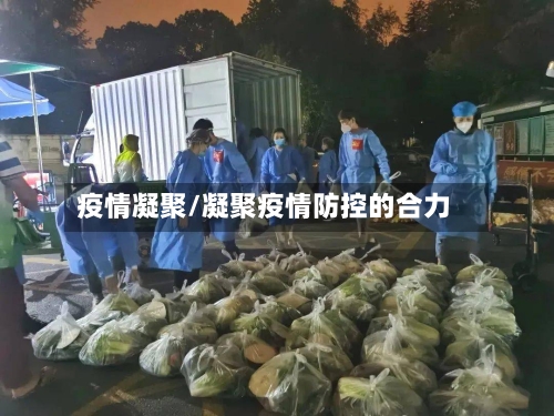 疫情凝聚/凝聚疫情防控的合力-第2张图片