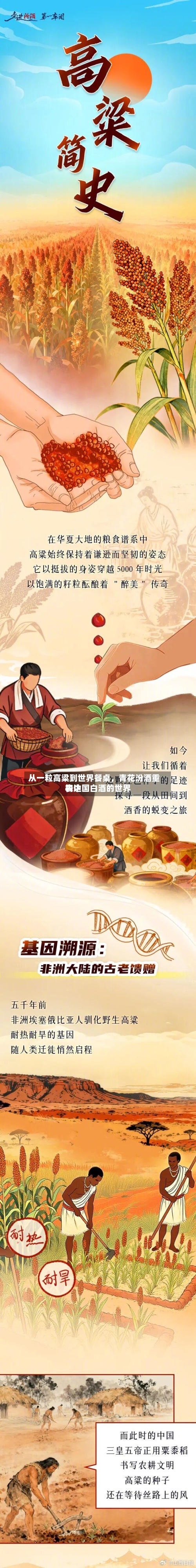 从一粒高粱到世界餐桌	，青花汾酒重构中国白酒的世界表达-第1张图片