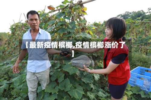 【最新疫情槟榔,疫情槟榔涨价了】-第3张图片