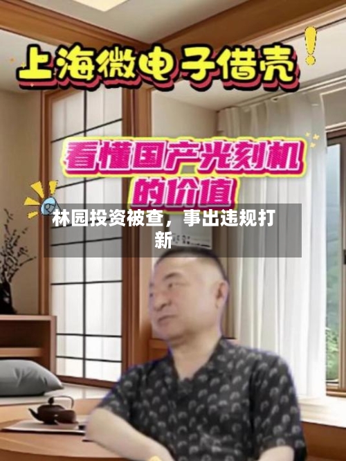 林园投资被查	，事出违规打新-第2张图片