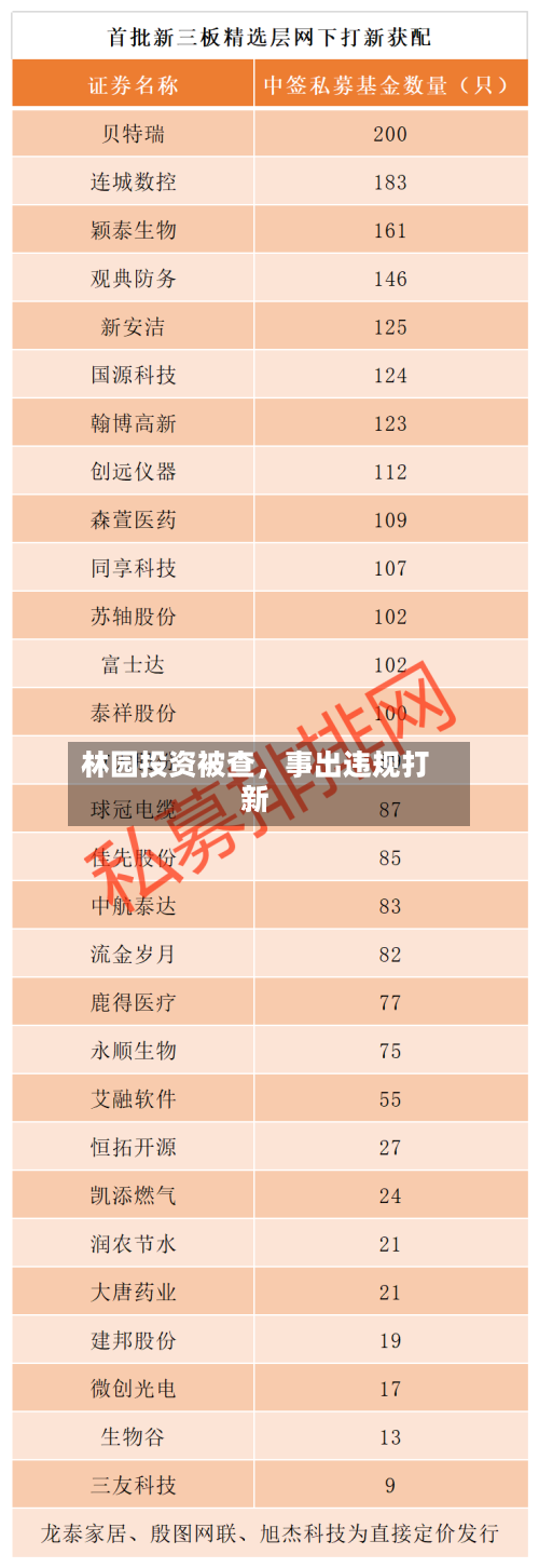 林园投资被查，事出违规打新-第1张图片